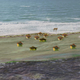 Artist’s reconstruction of the Neolithic village and the 7,000-year-old seawall.
